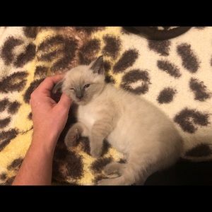 Meet your Posher, Sandra